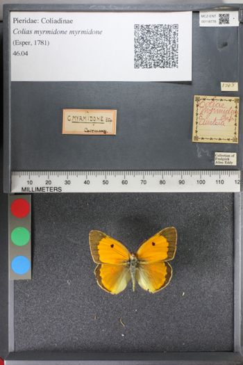 Media type: image;   Entomology 118778